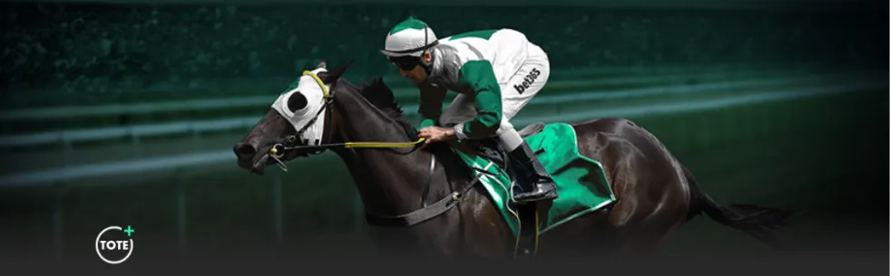 威廉姆斯高,效贡献,哈騰回归战,世界杯预测,2026世界杯,赛事分析,球队表现,最新动态