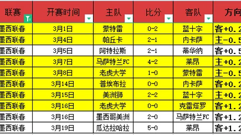 数据模型与实际设定：一场令人瞩目的价值偏差对决！